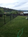 Residential Chain-Link Fencing by Good Neighbour Fence